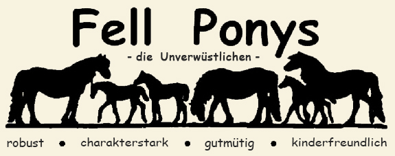 fellponnyfarm-flensburg